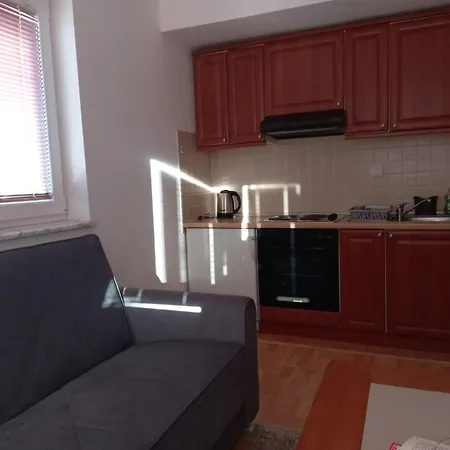 公寓 Apartmani, Prenociste Ana 托米斯拉夫格拉德